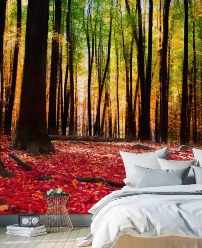 papier peint mural de forêt rouge appelé Colourful Autumn Forest pour les maisons de retraite