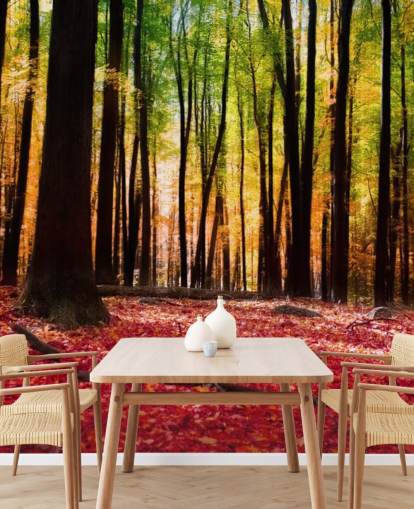 rode bosbehangmuurschildering genaamd Colourful Autumn Forest voor verzorgingstehuizen rode bosbehangmuurschildering genaamd Colourful Autumn Forest voor verzorgingstehuizen