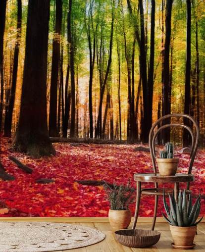 papier peint mural de forêt rouge appelé Colourful Autumn Forest pour les maisons de retraite