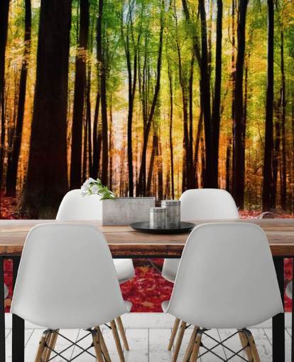 red woodland wallpaper mural called Colorful Autumn Forest for care homes red woodland wallpaper mural called Colorful Autumn Forest for care homes