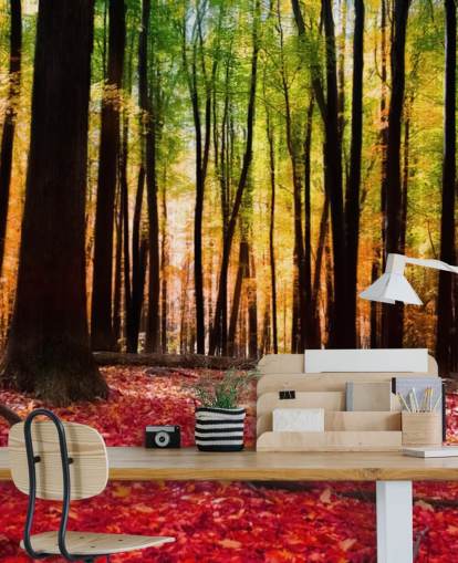rød skov tapetmaleri kaldet Colourful Autumn Forest til plejehjem