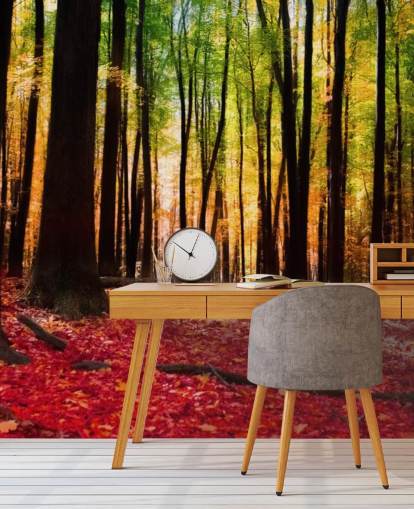 rød skov tapetmaleri kaldet Colourful Autumn Forest til plejehjem