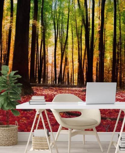 red woodland wallpaper mural called Colorful Autumn Forest for care homes