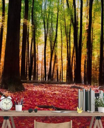 red woodland wallpaper mural called Colourful Autumn Forest for care homes