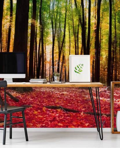 mural de papel de parede da floresta vermelha chamado Colourful Autumn Forest para casas de repouso