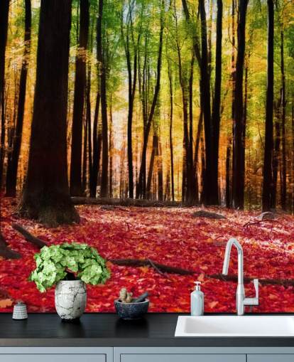 red woodland wallpaper mural called Colorful Autumn Forest for care homes red woodland wallpaper mural called Colorful Autumn Forest for care homes