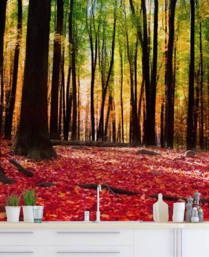 red woodland wallpaper mural called Colourful Autumn Forest for care homes