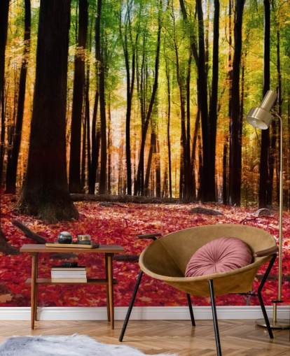 red woodland wallpaper mural called Colorful Autumn Forest for care homes