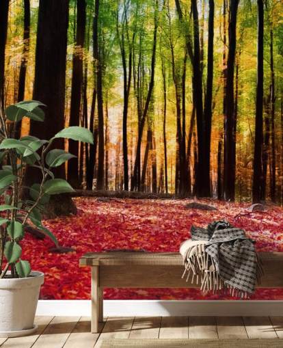 red woodland wallpaper mural called Colourful Autumn Forest for care homes