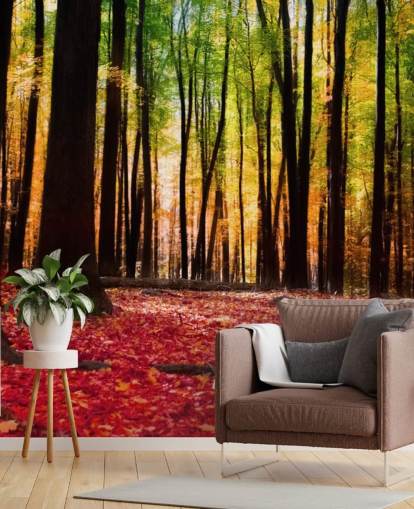red woodland wallpaper mural called Colorful Autumn Forest for care homes red woodland wallpaper mural called Colorful Autumn Forest for care homes