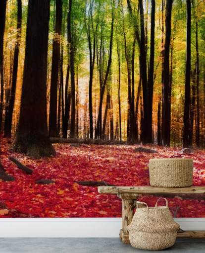 red woodland wallpaper mural called Colourful Autumn Forest for care homes