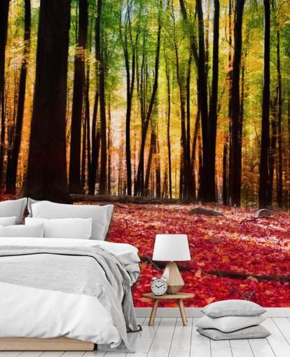 carta da parati murale con boschi rossi chiamata Colourful Autumn Forest per case di cura