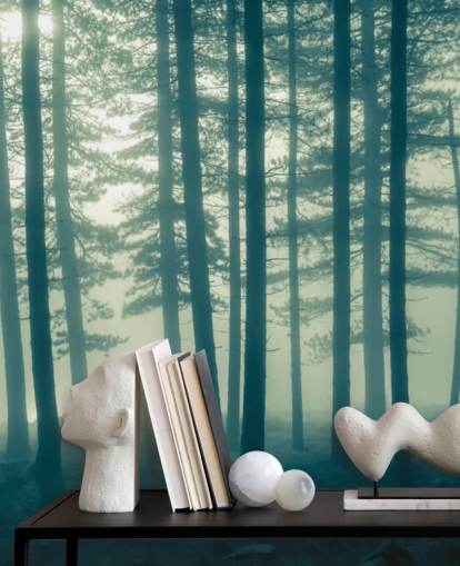 carta da parati murale Dark Forest chiamata Foggy Forest per camere da letto, uffici e altro