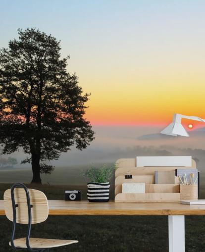 Solnedgang og træ i Field Wall Mural