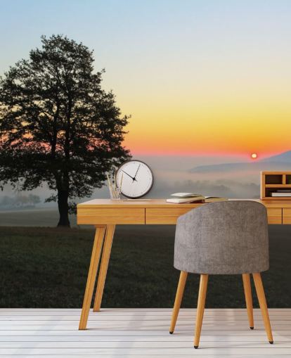 Sonnenuntergang und Baum im Feld Fototapete