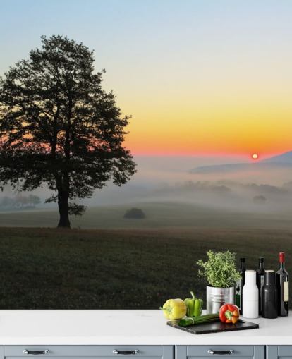 Sonnenuntergang und Baum im Feld Fototapete