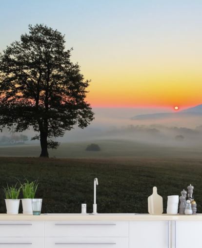 Decorazione murale con tramonto e albero nel campo Decorazione murale con tramonto e albero nel campo