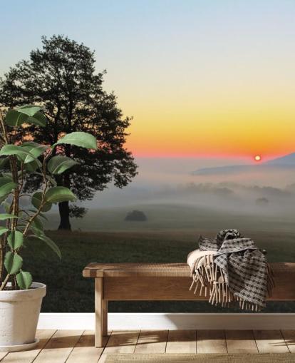 Mural de pared Atardecer y árbol en campo