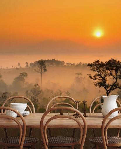 African Misty Forest Wallpaper