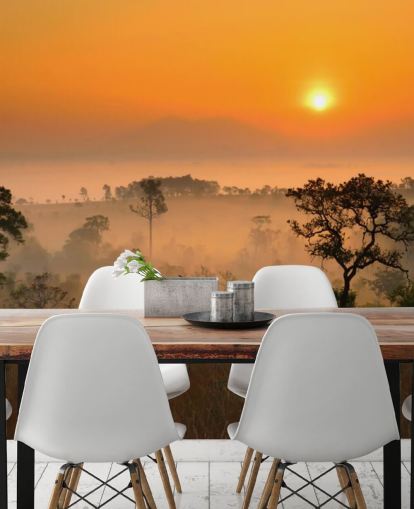 African Misty Forest Bakgrund African Misty Forest Bakgrund