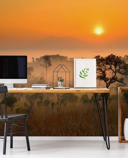 Afrikaans Misty Forest behang