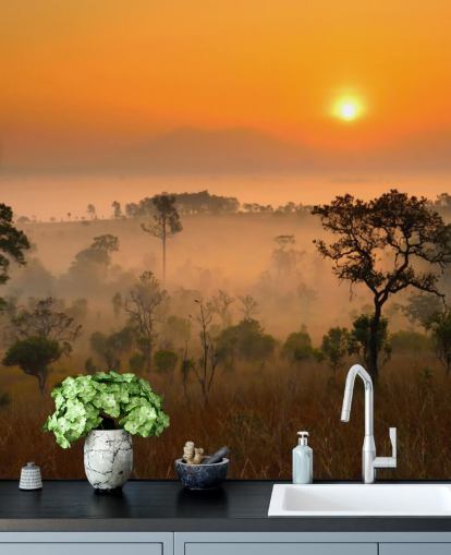 Afrikansk Misty Forest