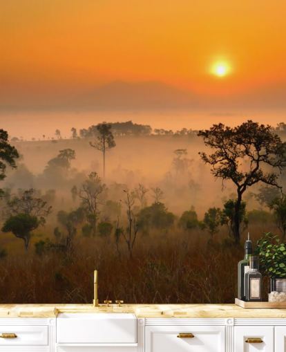 Afrikansk Misty Forest