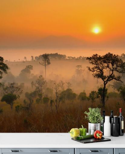 African Misty Forest Bakgrund