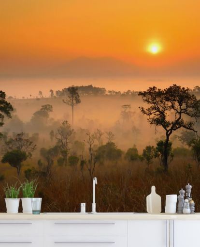 Afrikansk Misty Forest