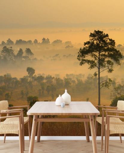 Misty African Forest Bakgrund