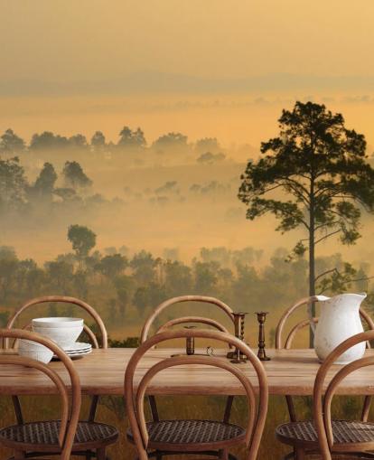 Misty African Forest Bakgrund Misty African Forest Bakgrund