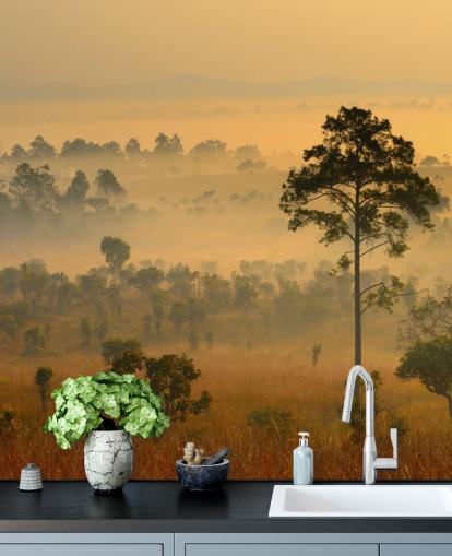 Misty African Forest Baggrund