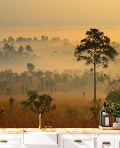 Papier Peint Forêt Africaine Brumeuse