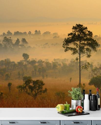 Misty African Forest Wallpaper