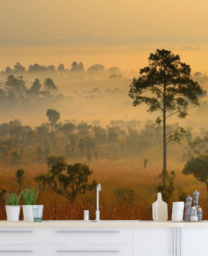 Misty African Forest Bakgrund