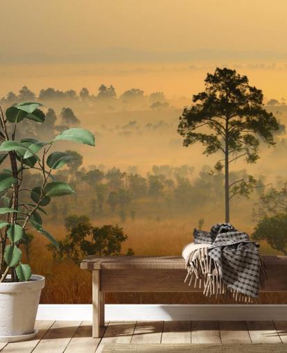 Papier Peint Forêt Africaine Brumeuse