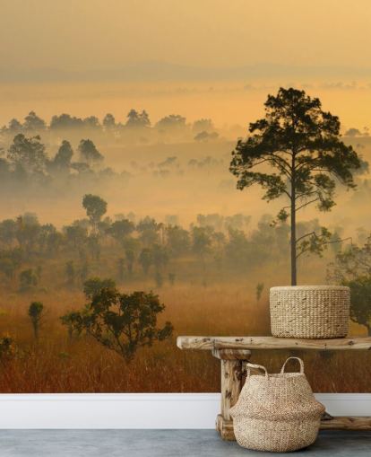 Papier Peint Forêt Africaine Brumeuse