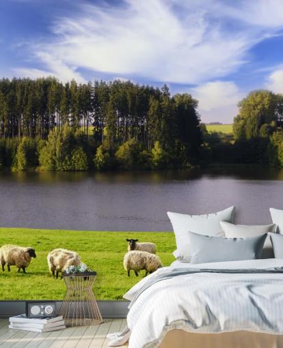 Schaf von einem Fluss Wallpaper