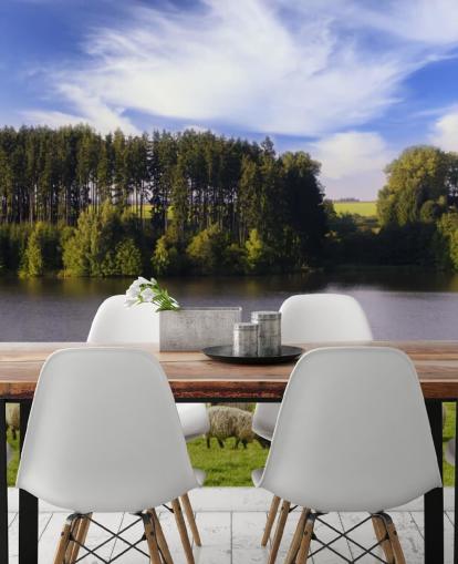 Descargar el fondo de pantalla Ovejas Descargar el fondo de pantalla Ovejas