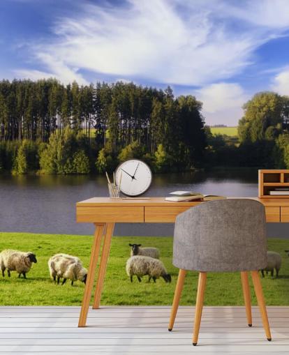 Descargar el fondo de pantalla Ovejas