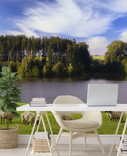 Descargar el fondo de pantalla Ovejas