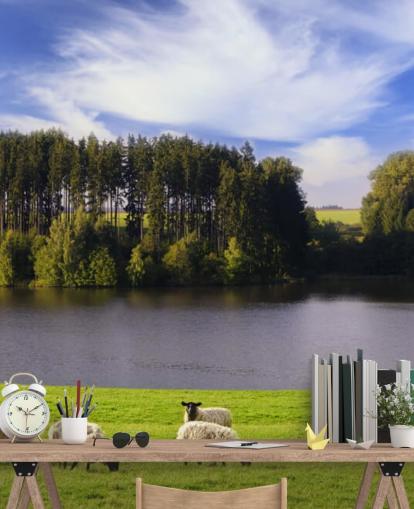 Descargar el fondo de pantalla Ovejas Descargar el fondo de pantalla Ovejas