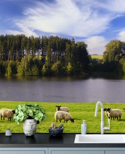 Sheep by a River Wallpaper