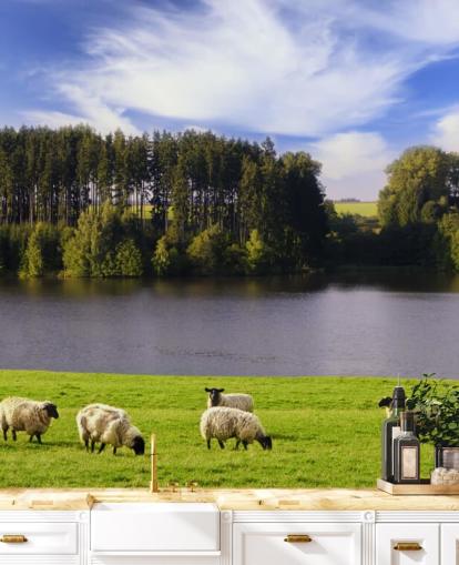 Sheep by a River Wallpaper