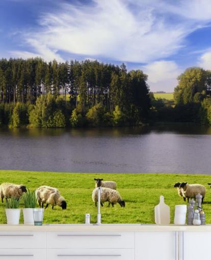Papel de Parede Sheep by a River