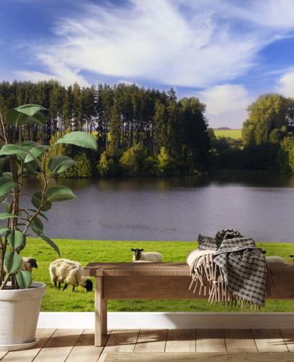 Carta da parati con pecore da un fiume