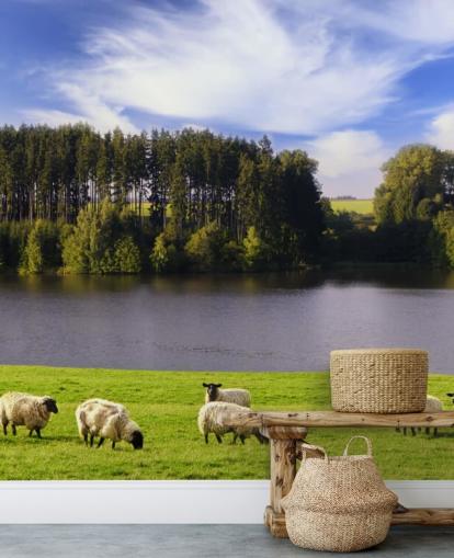 Sheep by a River Wallpaper