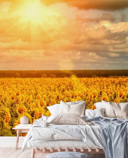 Mural Girasoles en un campo al amanecer Mural Girasoles en un campo al amanecer