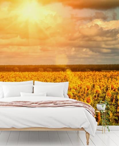 Decorazione murale con girasoli in un campo all'alba