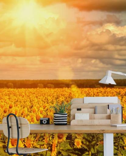 Sunflowers in a Field at Sunrise Mural